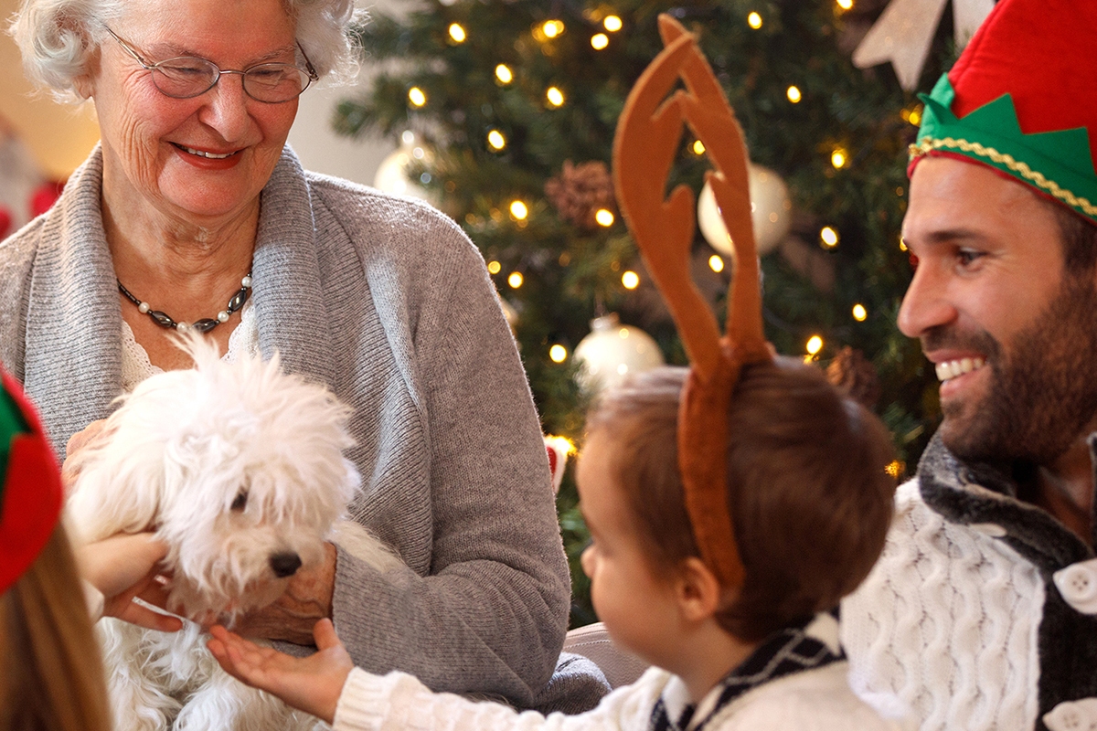 senior woman holding a small white dog during the holiday season with her family