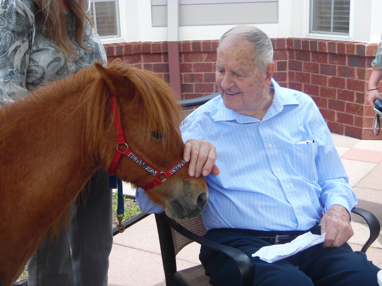 Kentucky Derby Activity with a pony for animal-assisted therapy