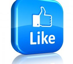 “Like” Parc Provence on Facebook