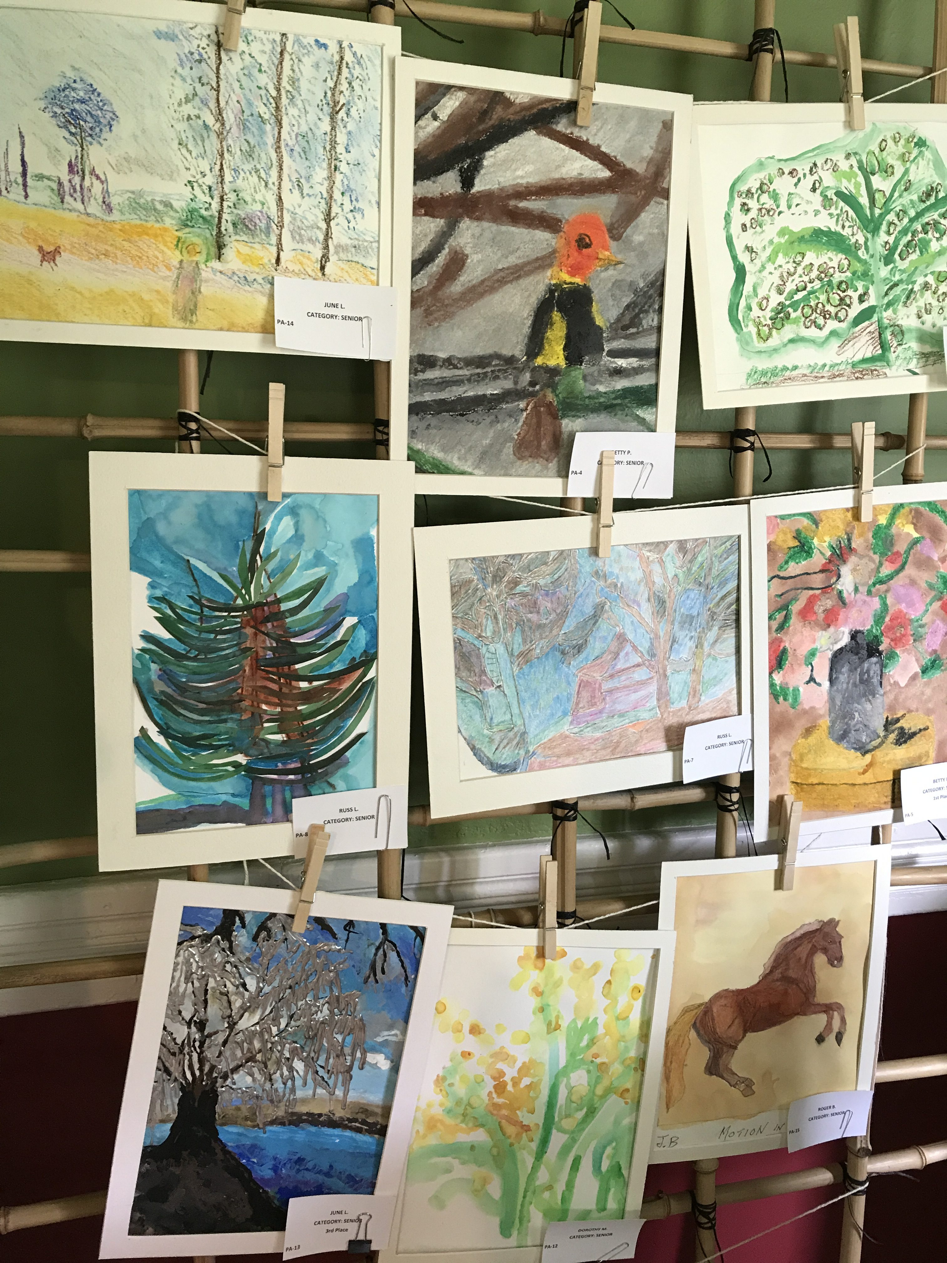 senior division entries in the Arbor Day Art contest