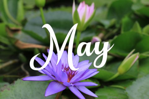 Parc Provence May 2019 Activities Calendar