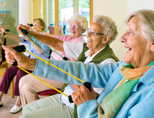 Parc Provence offers an abundance of activities and events.