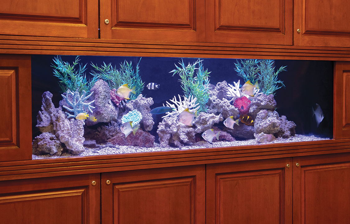 Parc Provence Memory Care Skilled Nursing Community Aquarium