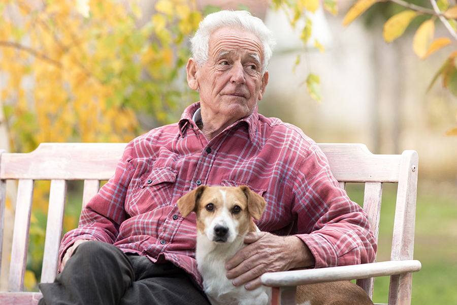 Man sitting on bench outside with a dog