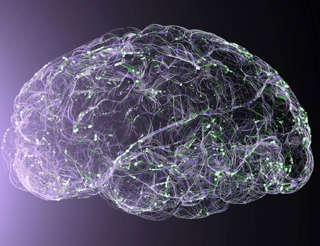 Illustration of a brain with outlines