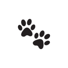 Pet-friendly
